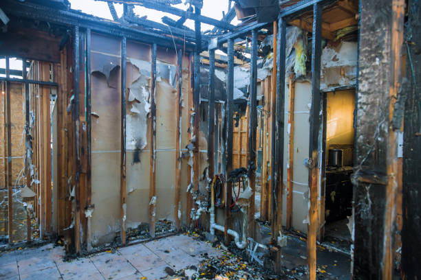 Professional Structural Rebuild technician working in Punta Gorda, FL